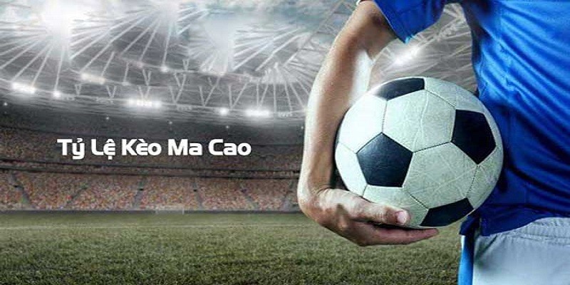 Tỷ lệ kèo 2 in 1 - Cách đặt cược kèo Macao hiệu quả 99%